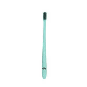 Cepillo De Dientes De Paja De Trigo Adulto Verde